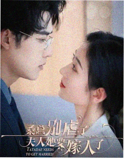 刑侦明灯 电视剧 2026